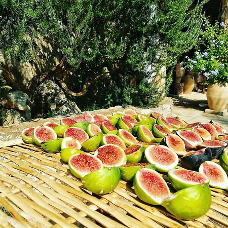 Masseria Borgo Del Gallo Tricase Luaran gambar