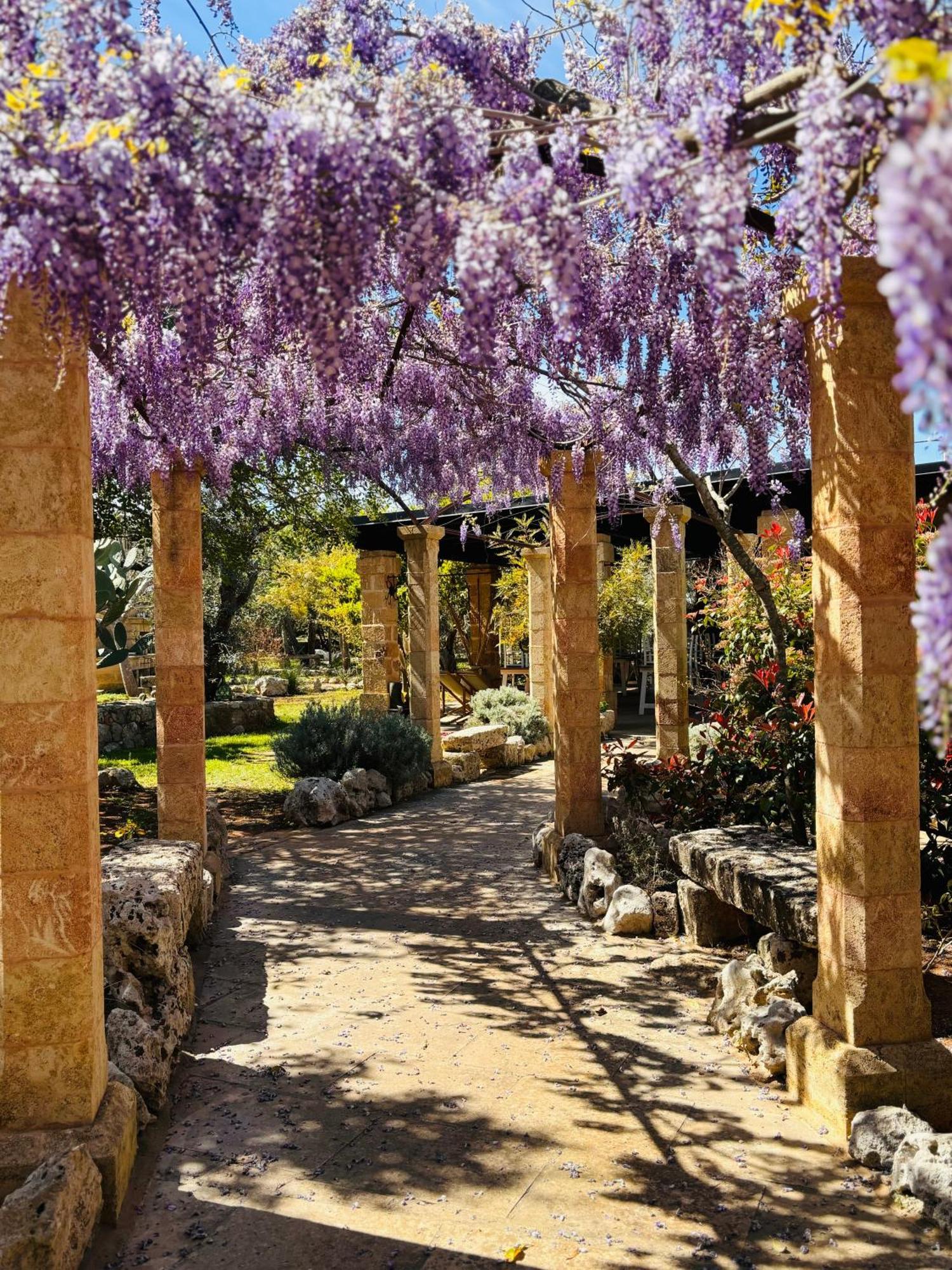 Masseria Borgo Del Gallo Tricase Luaran gambar